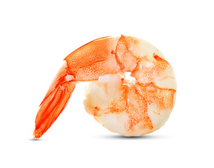 shrimps isolated on a white background
