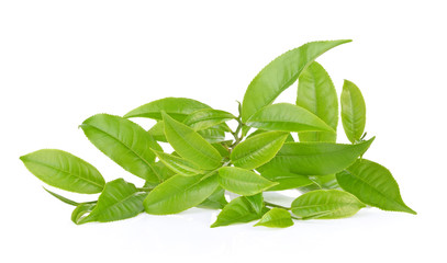 Green tea leaf on white background
