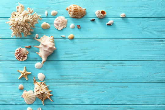 Different sea shells on color wooden background