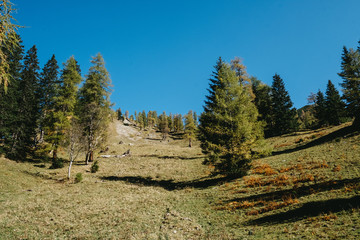 Fototapeta na wymiar Alpine landscape in Tyrol, Austria (Karwendel)