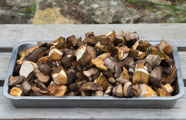 Photo of white mushrooms / Photo of sliced porcini mushrooms and aspens mushrooms on a tray after 4 hours of sun drying