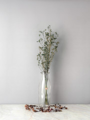 Bouquet of dried and wilted green Gypsophila flowers in glass bottle on matt marble floor and gray background