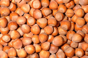 Texture, mix of hazelnuts
