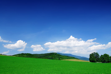 Mountain landscape, view of green rolling fields