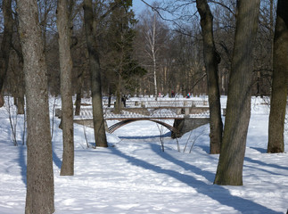 Saint-Petersburg. town of Pushkin. Alexander Park. Bridges in the Park in winter