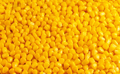 SWEET CORN KERNELS