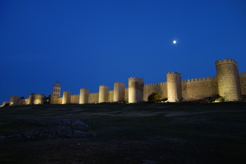 &Aacute;via y la luna
