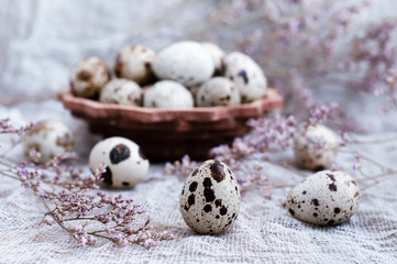 Obraz premium Quail egg.Easter.