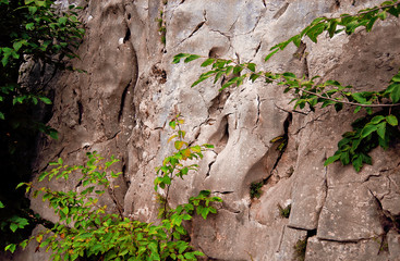 Nature green and colore