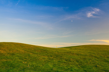 Golf field with yellow flag