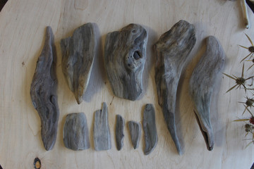Driftwood pieces for art and decoration