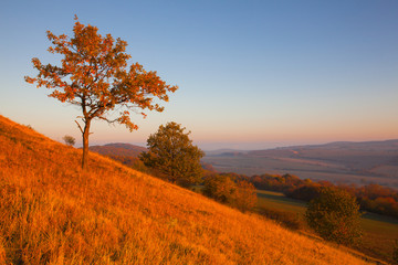 Fototapeta premium Morning in Central Bohemian Uplands, Czech Republic.