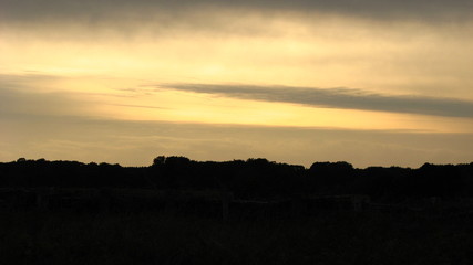 silhouette von bäumen im herbst am strand