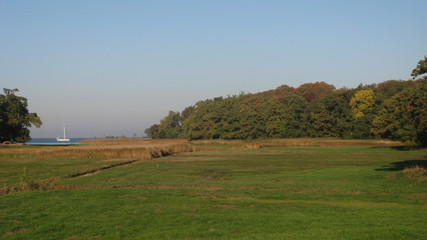 blick über das wasser in den park