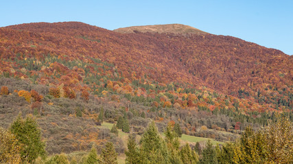Jesień w górach