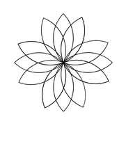 Flower Shape Geometric Pattern