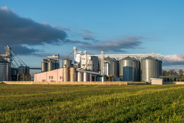 silver silos on agro-processing plant for processing and storage of agricultural products, flour,...