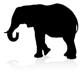 An elephant safari animal silhouette 
