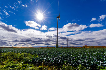 Wind turbines in Quebec agricultural area with sun in the sky