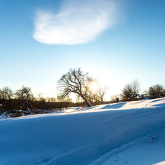 Fluffy white snow on the tree in rays of sunset. Winter frosty evening.