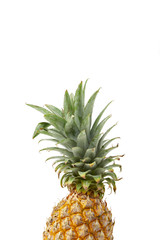 Fototapeta premium ripe pineapple fruit on white background