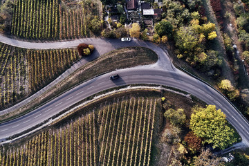 Aerial view of a country road with colorful agricultural fields in spring - germany