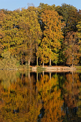 Fototapeta premium Couleurs d'automne sur le lac du Parc de la Tete d'Or