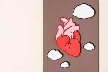 flat lay with anatomical human heart on brown with beige  