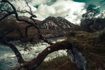 Fototapeta premium Schottland