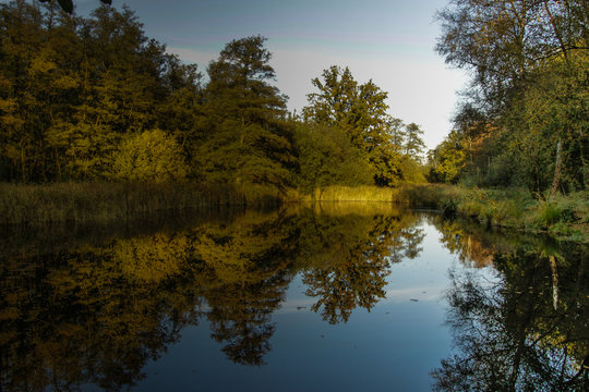 B&auml;ume und B&uuml;sche um den See