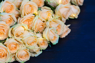 Peach roses on a wooden black background
