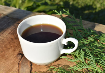 White Cup of coffee in nature.