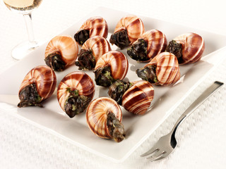 SNAILS / ESCARGOT