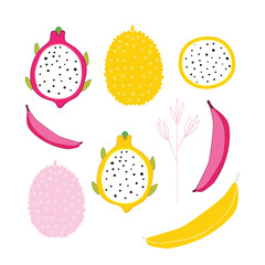 Exotic colorful tropical fruits and flower collection isolated on white background