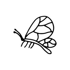 butterfly moth insect icon drawing isolated object on white background