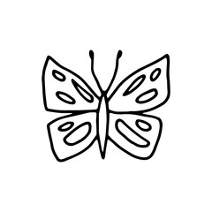 butterfly moth insect icon drawing isolated object on white background