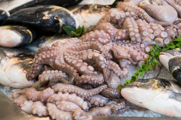 Background of fresh seafood fish clams crabs 