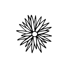 Obraz premium botanical flower garden element icon. hand drawing isolated object