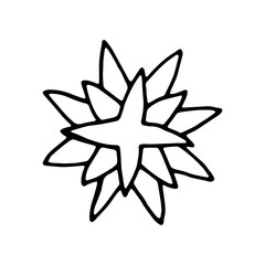 botanical flower garden element icon. hand drawing isolated object