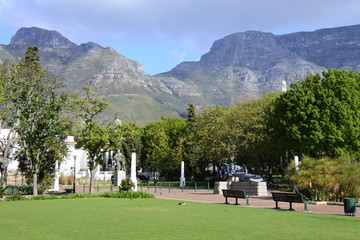 Fototapeta na wymiar The Company's Garden in Kapstadt in Südafrika