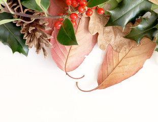 Autumn Leaves