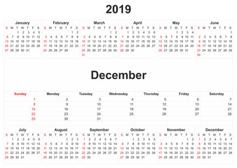 2019 monthly calendar with white background.