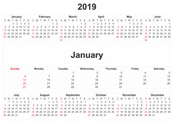 2019 monthly calendar with white background.
