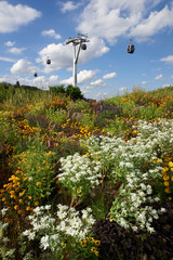 Calbe railway with flowers