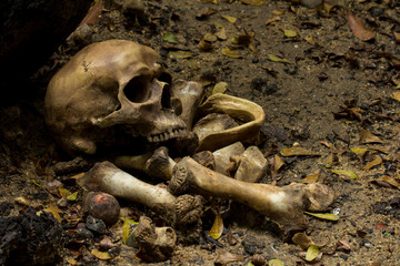 Skull and bones digged from pit  with dark light, Concept halloween day, still life style.