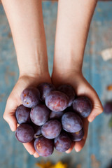 Woman hands holds Plums on wooden background.