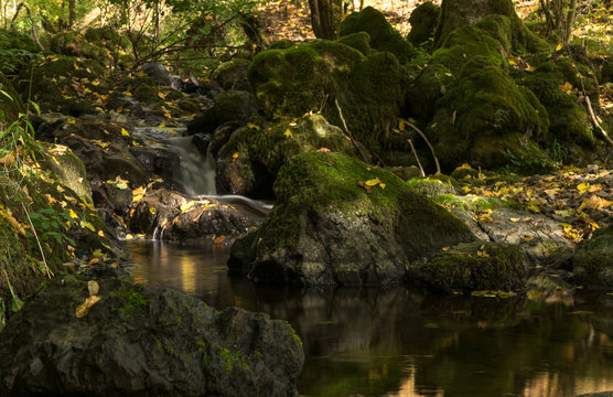 Tiny river at the autumn