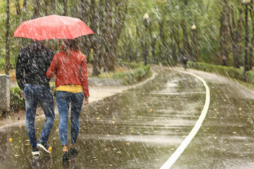 rain in the autumn park / young 25 years old couple man and woman walk under an umbrella in wet rainy weather, walk October lovers - obrazy, fototapety, plakaty