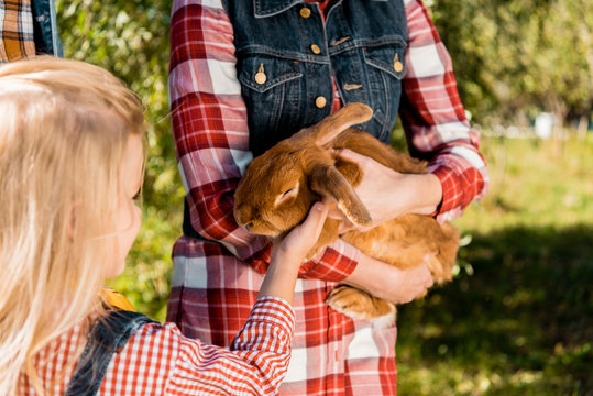 cropped image of little kid touching brown bunny in hands of her mother outdoors