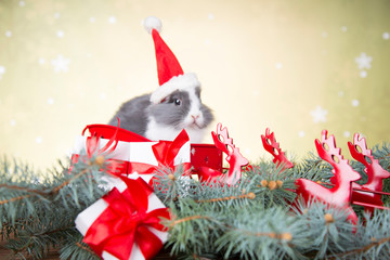 Christmas, Christmas, Santa Claus, gifts, Christmas tree, reindeer, Christmas rabbit